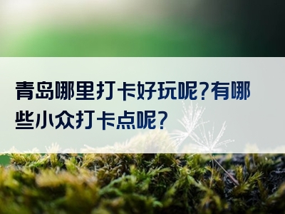 青岛哪里打卡好玩呢？有哪些小众打卡点呢？