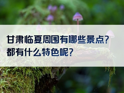 甘肃临夏周围有哪些景点？都有什么特色呢？