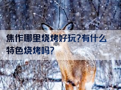 焦作哪里烧烤好玩？有什么特色烧烤吗？