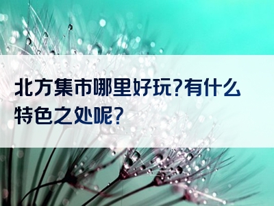 北方集市哪里好玩？有什么特色之处呢？