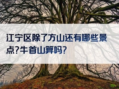 江宁区除了方山还有哪些景点？牛首山算吗？