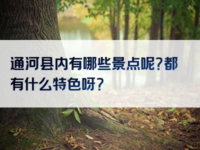 通河县内有哪些景点呢？都有什么特色呀？
