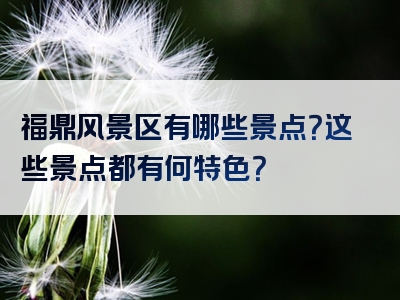 福鼎风景区有哪些景点？这些景点都有何特色？