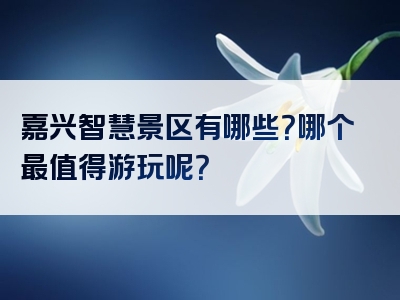 嘉兴智慧景区有哪些？哪个最值得游玩呢？