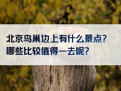 北京鸟巢边上有什么景点？哪些比较值得一去呢？