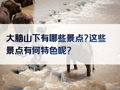 大脑山下有哪些景点？这些景点有何特色呢？