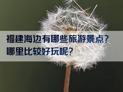 福建海边有哪些旅游景点？哪里比较好玩呢？