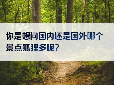 你是想问国内还是国外哪个景点狐狸多呢？