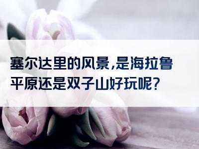 塞尔达里的风景，是海拉鲁平原还是双子山好玩呢？