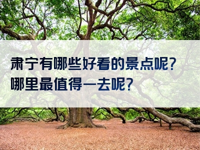 肃宁有哪些好看的景点呢？哪里最值得一去呢？