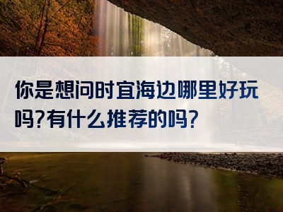 你是想问时宜海边哪里好玩吗？有什么推荐的吗？