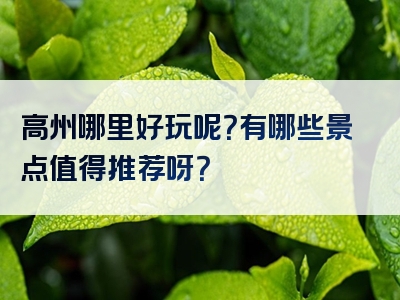 高州哪里好玩呢？有哪些景点值得推荐呀？