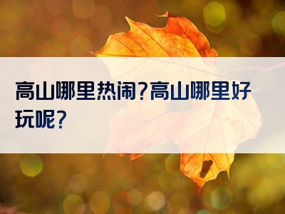 高山哪里热闹？高山哪里好玩呢？