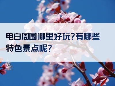 电白周围哪里好玩？有哪些特色景点呢？
