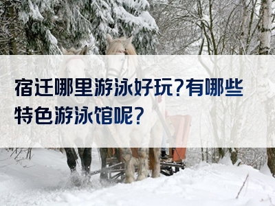 宿迁哪里游泳好玩？有哪些特色游泳馆呢？