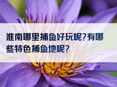 淮南哪里捕鱼好玩呢？有哪些特色捕鱼地呢？