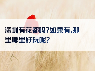 深圳有花都吗？如果有，那里哪里好玩呢？