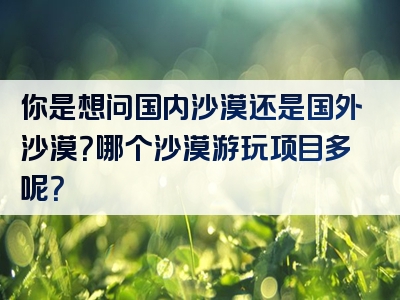 你是想问国内沙漠还是国外沙漠？哪个沙漠游玩项目多呢？