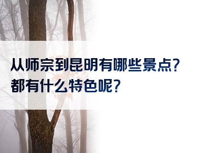 从师宗到昆明有哪些景点？都有什么特色呢？