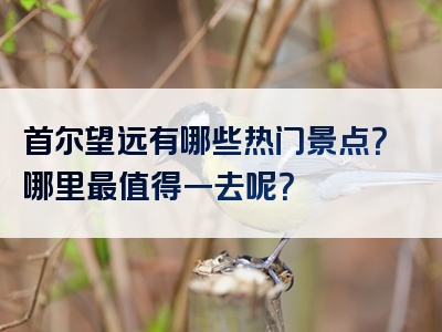 首尔望远有哪些热门景点？哪里最值得一去呢？