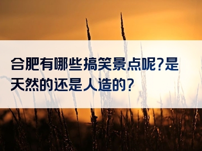 合肥有哪些搞笑景点呢？是天然的还是人造的？