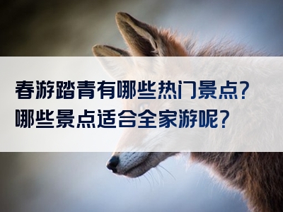 春游踏青有哪些热门景点？哪些景点适合全家游呢？