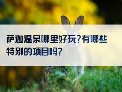 萨迦温泉哪里好玩？有哪些特别的项目吗？