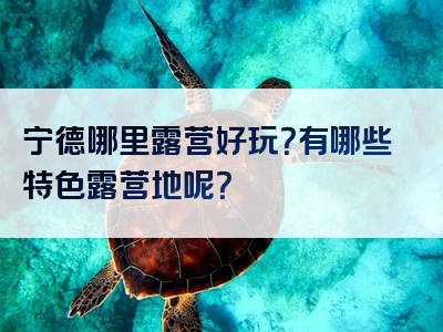 宁德哪里露营好玩？有哪些特色露营地呢？