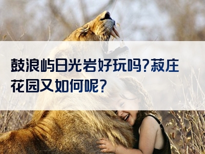 鼓浪屿日光岩好玩吗？菽庄花园又如何呢？