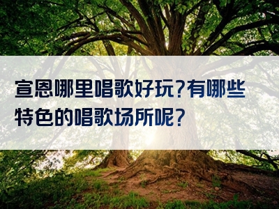 宣恩哪里唱歌好玩？有哪些特色的唱歌场所呢？