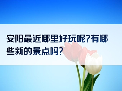 安阳最近哪里好玩呢？有哪些新的景点吗？