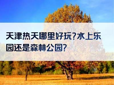 天津热天哪里好玩？水上乐园还是森林公园？