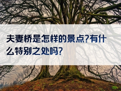 夫妻桥是怎样的景点？有什么特别之处吗？