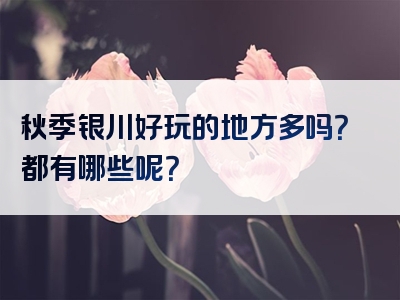 秋季银川好玩的地方多吗？都有哪些呢？