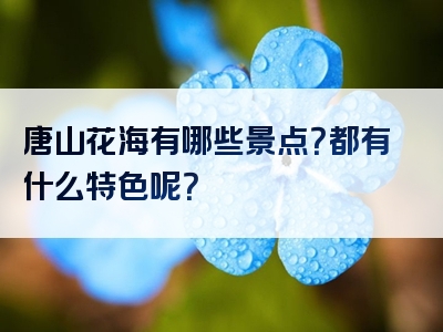 唐山花海有哪些景点？都有什么特色呢？