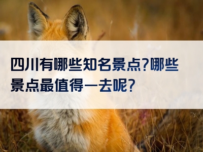 四川有哪些知名景点？哪些景点最值得一去呢？