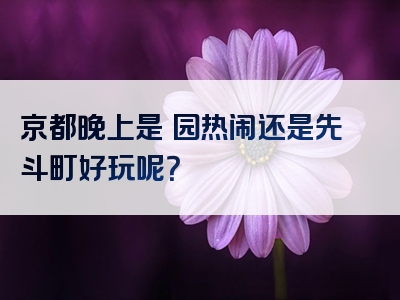 京都晚上是祇园热闹还是先斗町好玩呢？