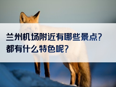 兰州机场附近有哪些景点？都有什么特色呢？