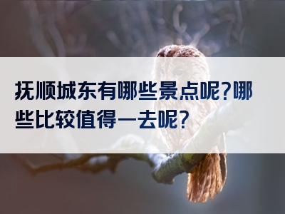 抚顺城东有哪些景点呢？哪些比较值得一去呢？