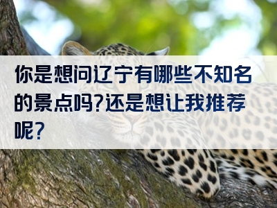 你是想问辽宁有哪些不知名的景点吗？还是想让我推荐呢？