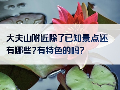 大夫山附近除了已知景点还有哪些？有特色的吗？