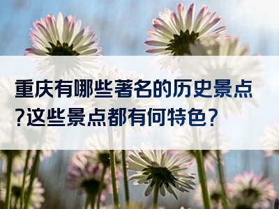 重庆有哪些著名的历史景点？这些景点都有何特色？