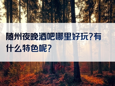 随州夜晚酒吧哪里好玩？有什么特色呢？