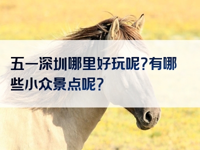 五一深圳哪里好玩呢？有哪些小众景点呢？