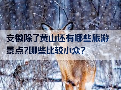 安徽除了黄山还有哪些旅游景点？哪些比较小众？