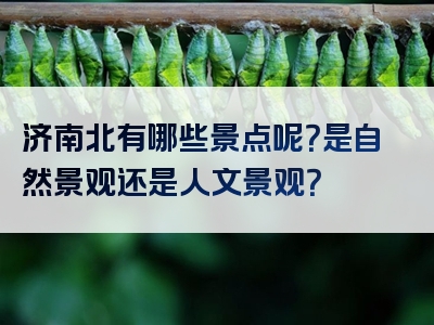 济南北有哪些景点呢？是自然景观还是人文景观？