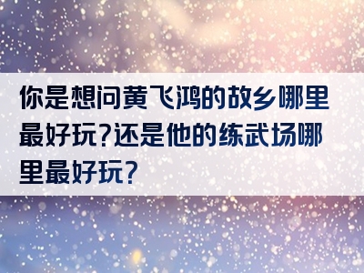 你是想问黄飞鸿的故乡哪里最好玩？还是他的练武场哪里最好玩？
