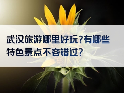 武汉旅游哪里好玩？有哪些特色景点不容错过？