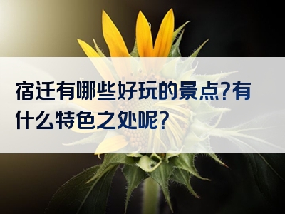 宿迁有哪些好玩的景点？有什么特色之处呢？