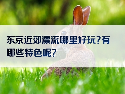 东京近郊漂流哪里好玩？有哪些特色呢？